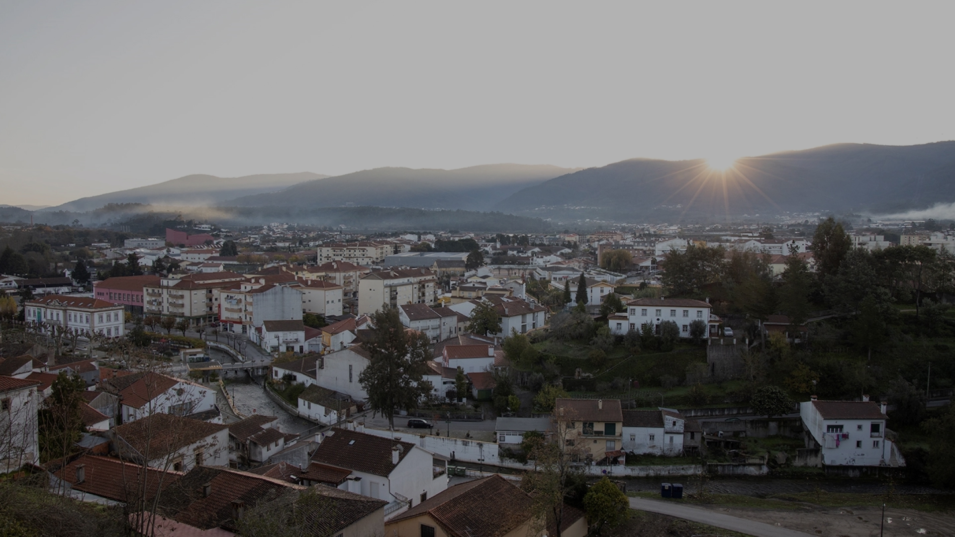 Serviços de acesso à rede de fibra ótica já disponíveis em 31 concelhos da Zona Centro