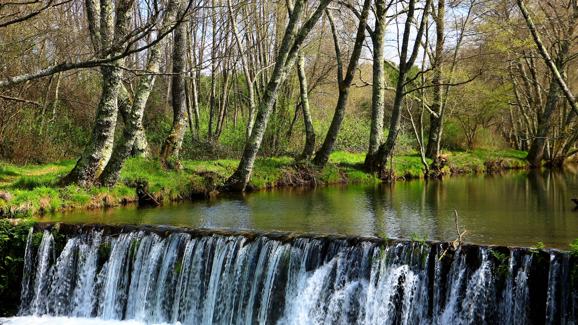 Serviços de acesso à rede de fibra ótica já disponíveis em 42 concelhos da Zona Centro