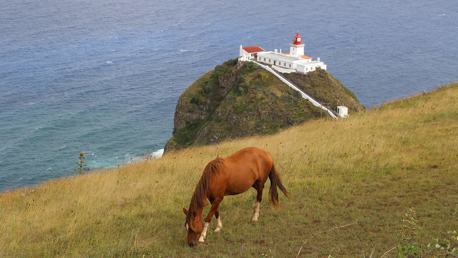 Serviços de acesso à rede de fibra óptica já disponível em 7 concelhos dos Açores